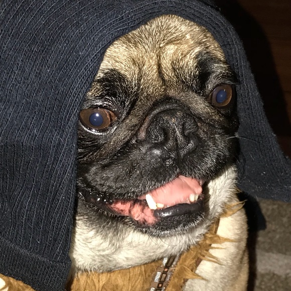 Profile Picture of Jose Arevalo (@josearevalo81) on Poshmark