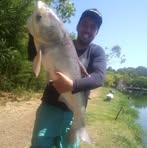 Profile Picture of Felipe Weingartner (@felipe.weingartner.33) on Facebook
