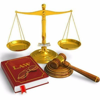 Profile Picture of Jean Rameau Pierre (@pierre_rameau) on Twitter