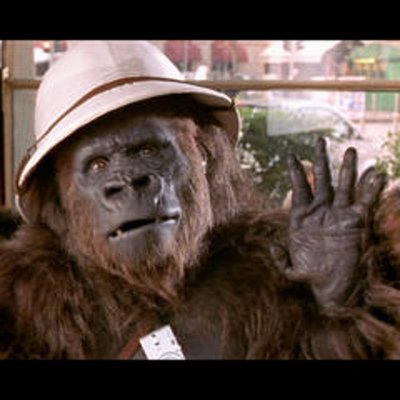 Profile Picture of Alessandro Iorio (@alex89_iorio) on Twitter