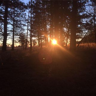 Profile Picture of Gregg Heiner (@gregg.heiner) on Facebook