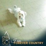 Profile Picture of linda findley (@lindanotfindle) on Instagram