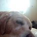 Profile Picture of Joe Hauk (@joe.hauk.79) on Facebook