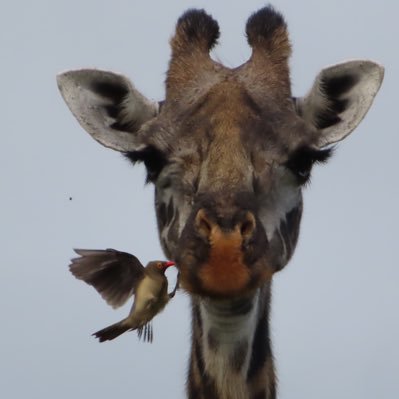 Profile Picture of Mason Wagner (@AlienMason22) on Twitter