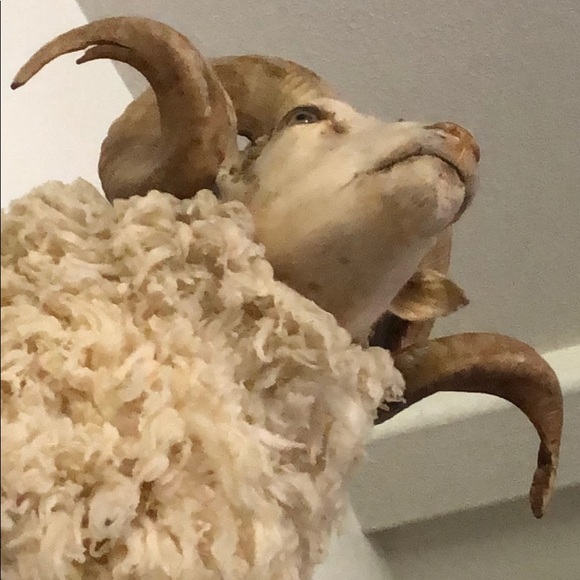 Profile Picture of John Minor (@johnminor408) on Poshmark