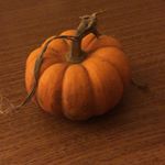 Profile Picture of T-Spice (@travisjspice) on Instagram