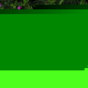 Profile Picture of Portia Zeta Manning (@portia_zeta) on Myspace