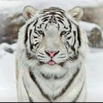 Profile Picture of Amner Lopez (@lopez.amner) on Instagram