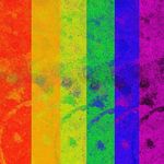 Profile Picture of Trisha Hobbs (@trishahobbs3) on Instagram