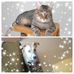 Profile Picture of Cornelia Stoehrmann (@conny.conny.5494360) on Facebook