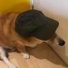 Profile Picture of nicholascamargo59 (@nicholascamargo59) on Tiktok