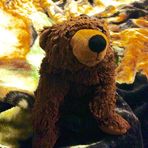 Profile Picture of Ivy Bunnell (@ivy.bunnell) on Facebook