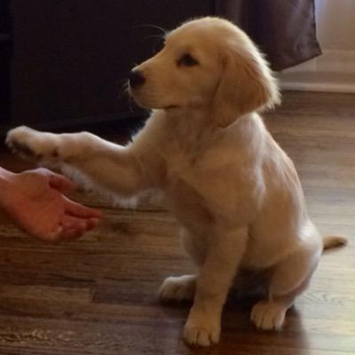 Profile Picture of Steve Naumann (@SNaumann77) on Twitter