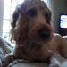 Profile Picture of Jake whitfield (@5205jake) on Pinterest