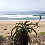 Profile Picture of Lisa Bester (@x_lisa_b_) on Instagram