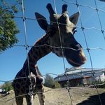 Profile Picture of Péter Palkó Pál (@pal.peter.1481) on Instagram