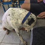 Profile Picture of Robert Michael Landgraf (@robertmichaellandgraf) on Instagram