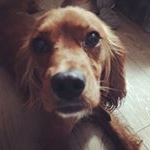 Profile Picture of Rusty Andrews-Robertson (@rustyandrewsrobetson) on Instagram