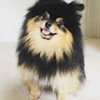 Profile Picture of Kim Chai (@kim-chai-17) on Quora