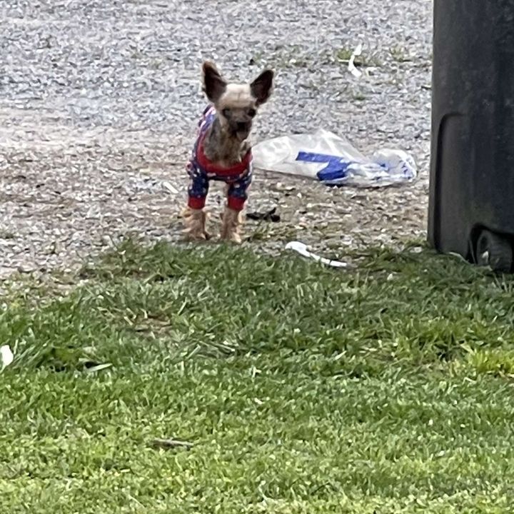 Adam👺 - Tiktok Profile Picture of Adam👺 (@adamschramm69) on Tiktok