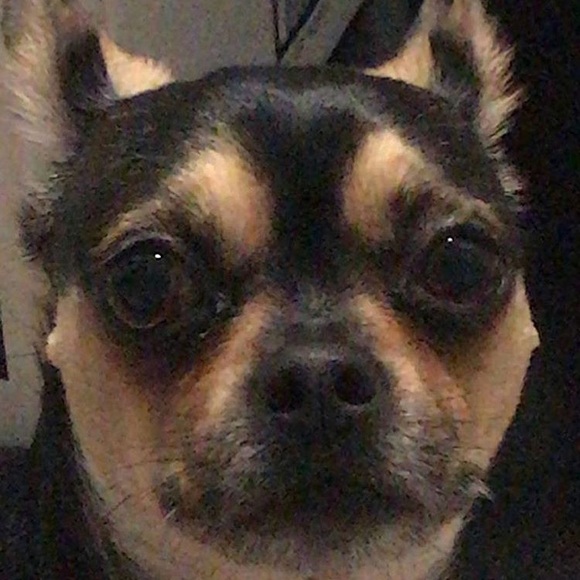 Profile Picture of Tristan Blair (@tristanbz) on Poshmark