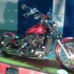 Fred Dudek - Instagram Profile Picture of Fred Dudek (@freddyjoe12) on Instagram