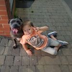 Profile Picture of Bob Todd (@bobtodd) on Instagram