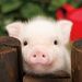 Profile Picture of David Hora (@dwdhora) on Pinterest