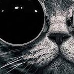 Profile Picture of angel david ditman (@angel_ditman) on Instagram