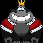 Profile Picture of Jason Gross (@camperkong) on Instagram