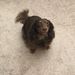 Profile Picture of Brian Booher (@bbooher0527) on Pinterest