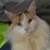Profile Picture of Derrell Frick (@derrell.frick.5) on Facebook