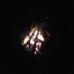 Profile Picture of Craig Lydecker (@craig.lydecker.5) on Facebook