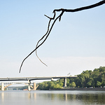 Profile Picture of David Nicholson (@dwnicholson98) on Flickr