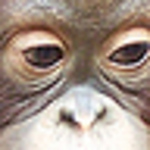 Profile Picture of Heather Roberts (@heatherrobber) on Flickr