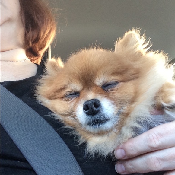 Profile Picture of Leann Parsley (@4leann) on Poshmark