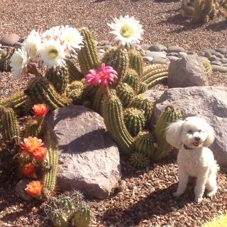 Profile Picture of Roberta Stromquist (@Roberta-Stromquist) on Facebook