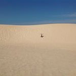 Cristian Badalamenti - Instagram Profile Picture of Cristian Badalamenti (@gobadino) on Instagram