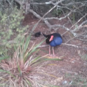 Profile Picture of Kerri Davey (@kerridavey870) on Youtube