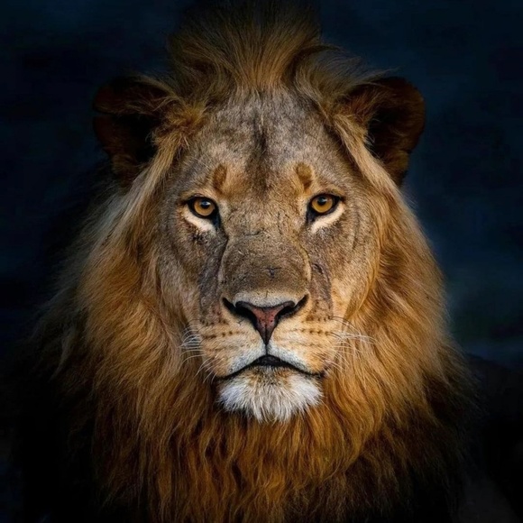 Profile Picture of John Carothers (@johncarothers17) on Poshmark