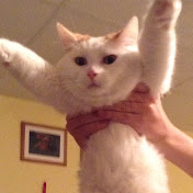 Profile Picture of Nathan Thomsen (@nathanthomsen1436) on Youtube