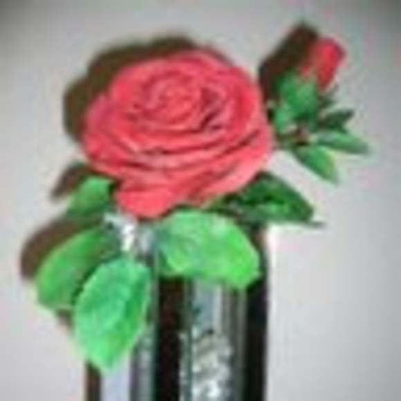 Profile Picture of Aralynn Mcreynolds (@aralynn1) on Poshmark