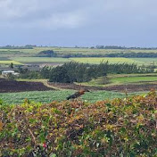 Profile Picture of Jason Sealy (@jason40ization) on Youtube