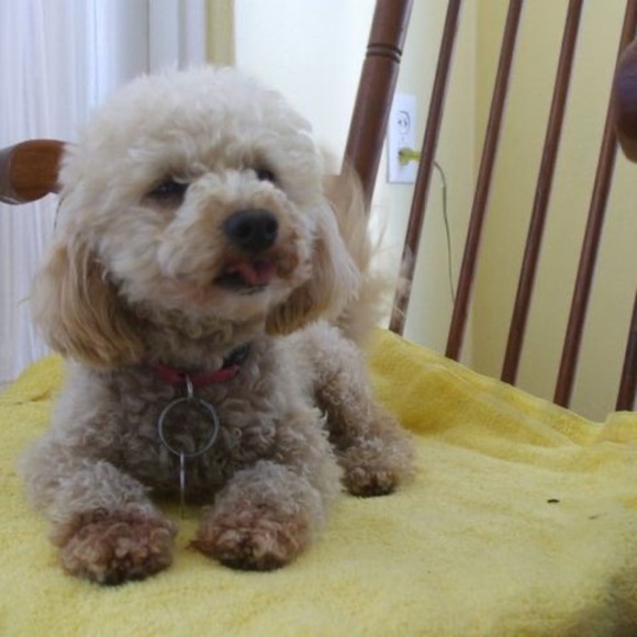 Profile Picture of Carvill Veech (@carvillveech) on Poshmark