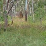 Profile Picture of Munir Smith (@smithmunir) on Instagram