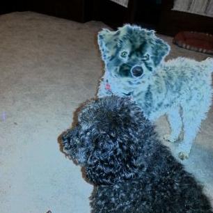 Profile Picture of Kaycee Olson (@@klo7870) on Twitter