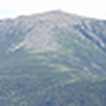 Profile Picture of Jason (@jason fish) on Flickr
