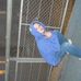 Profile Picture of Brian Canosa (@brian.canosa.1) on Facebook
