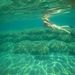 Profile Picture of Kim Sobczak (@kims5222) on Pinterest