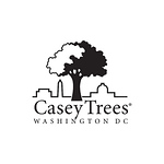 Profile Picture of Casey Trees (@Casey Trees) on Flickr